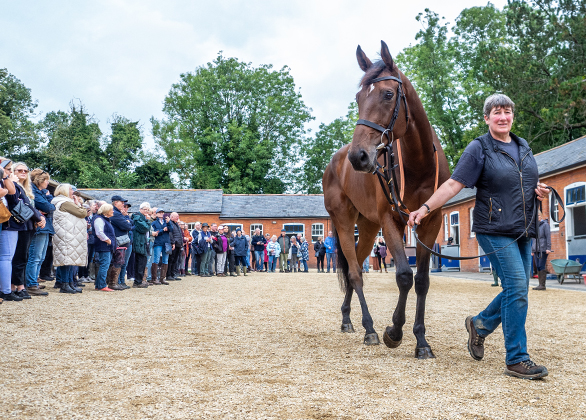 Elite Racing Club Stable Visit