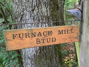 Furnace Mill Stud