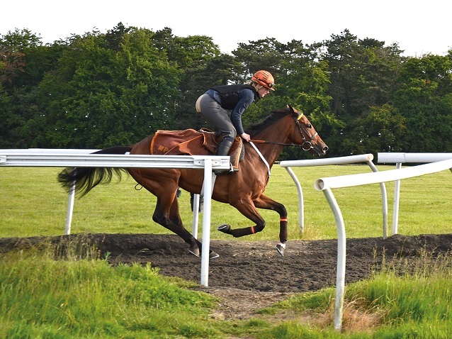 Sir Mark Prescott raises Tiffany's sights